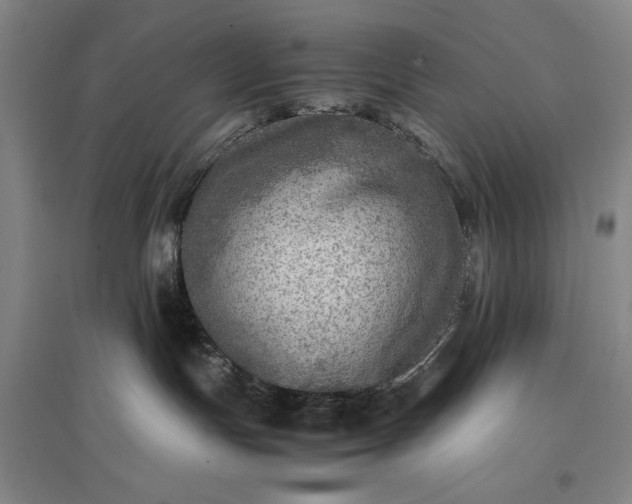 X0000096940191200802221328