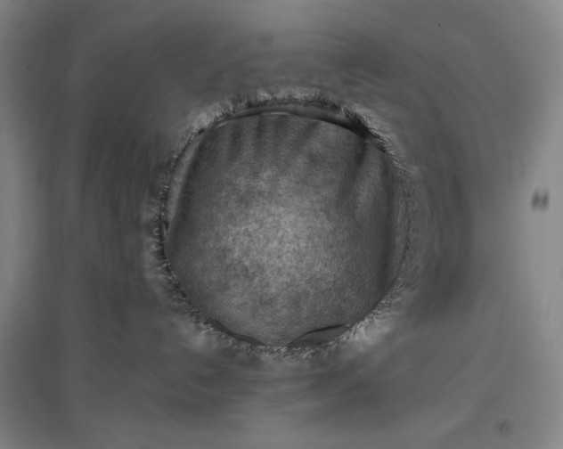 X0000096940192200802221328