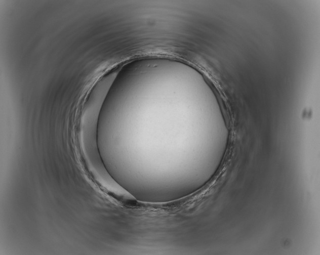 X0000096940193200802221327