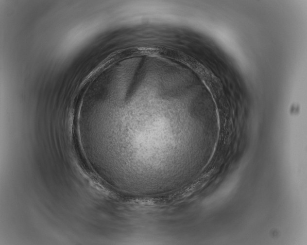 X0000096940194200802221327