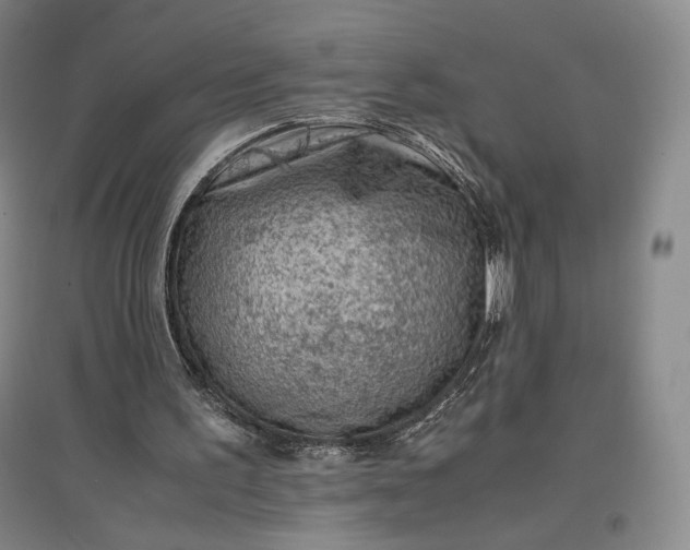 X0000096940195200802221327