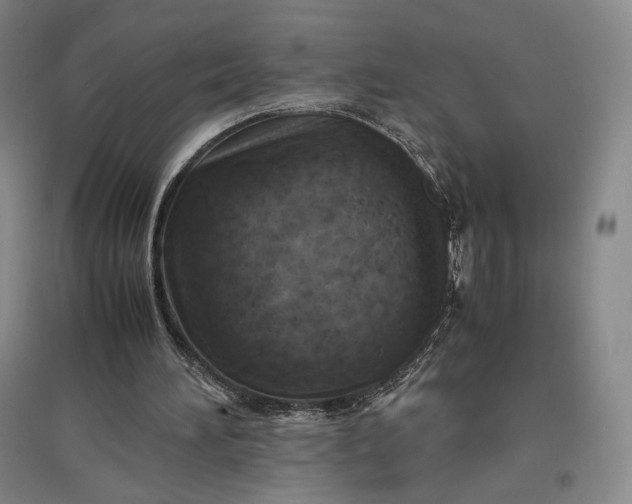 X0000096940196200802221327