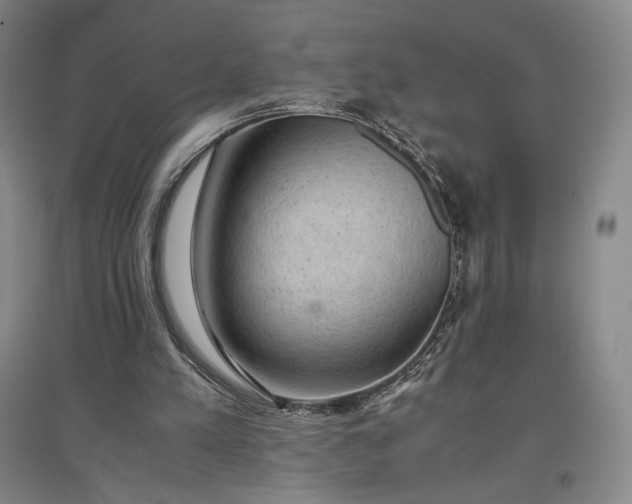 X0000096940197200802221327