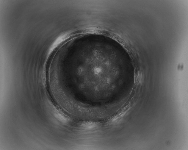 X0000096940198200802221327