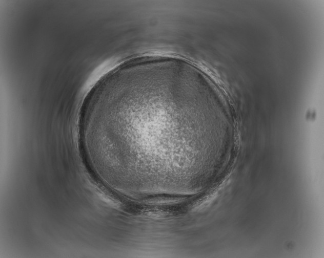 X0000096940199200802221327