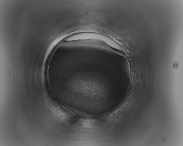 X0000096940200200802221327