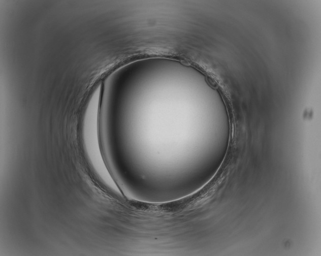 X0000096940201200802221327