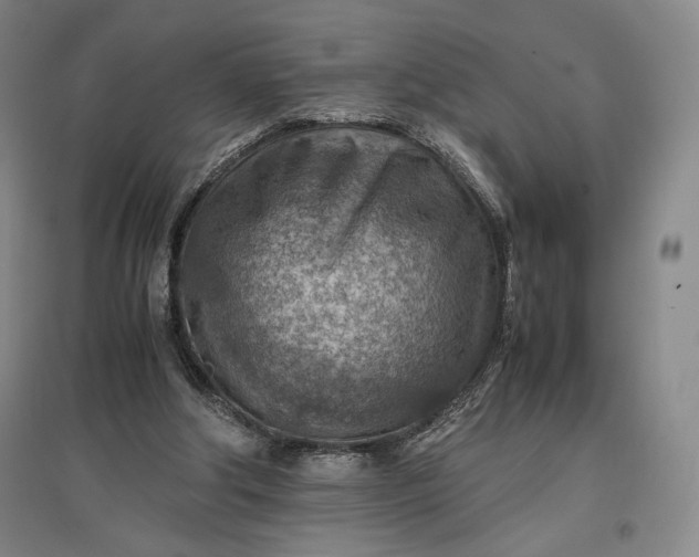 X0000096940202200802221327