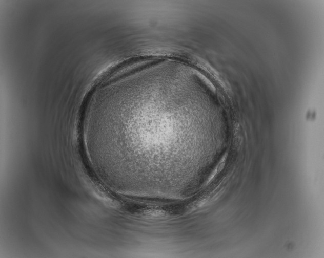 X0000096940203200802221327