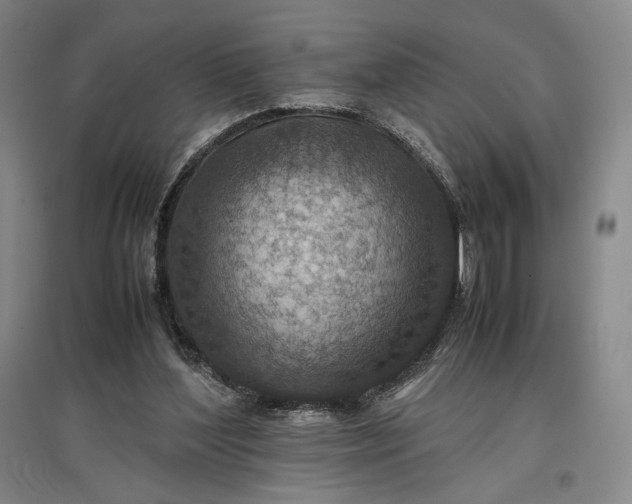 X0000096940204200802221327