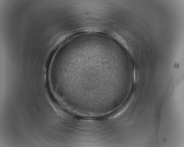 X0000096940205200802221327