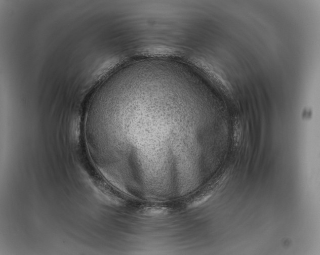 X0000096940206200802221327