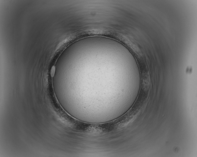 X0000096940207200802221327