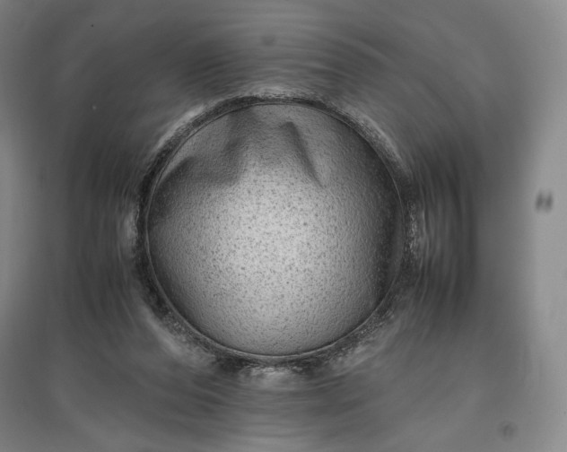 X0000096940208200802221327