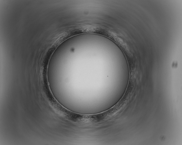 X0000096940209200802221327