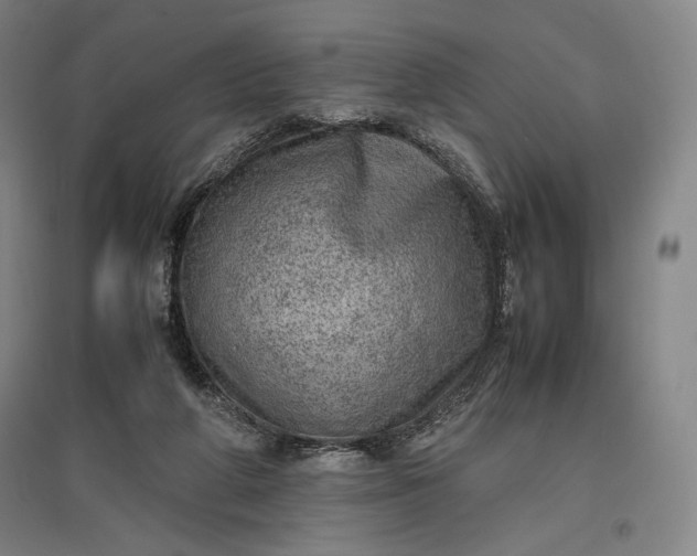 X0000096940210200802221327