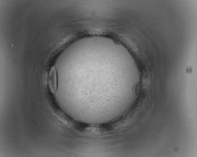 X0000096940211200802221327