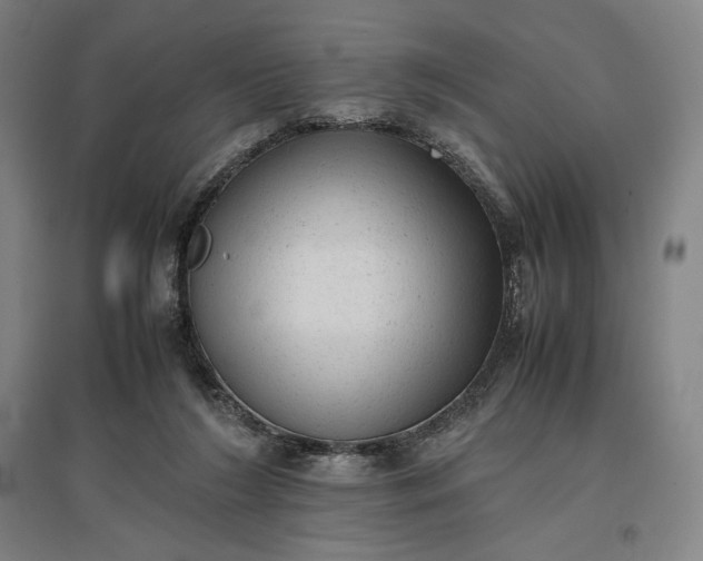 X0000096940212200802221327