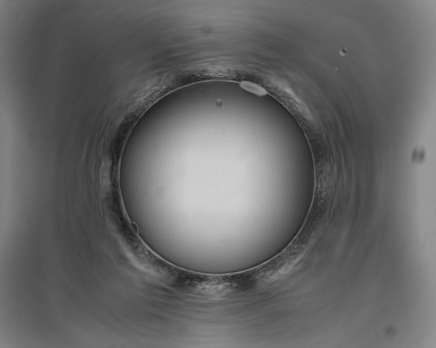 X0000096940213200802221327