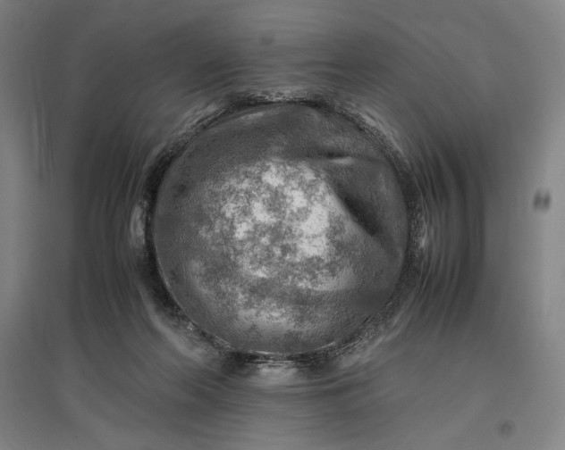 X0000096940214200802221327