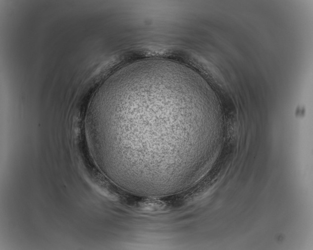 X0000096940215200802221327