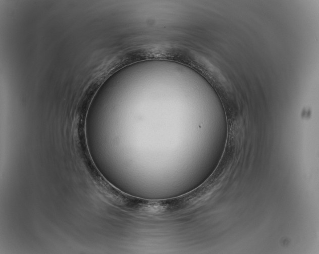 X0000096940217200802221327