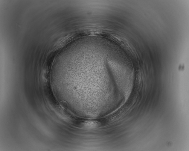 X0000096940218200802221327