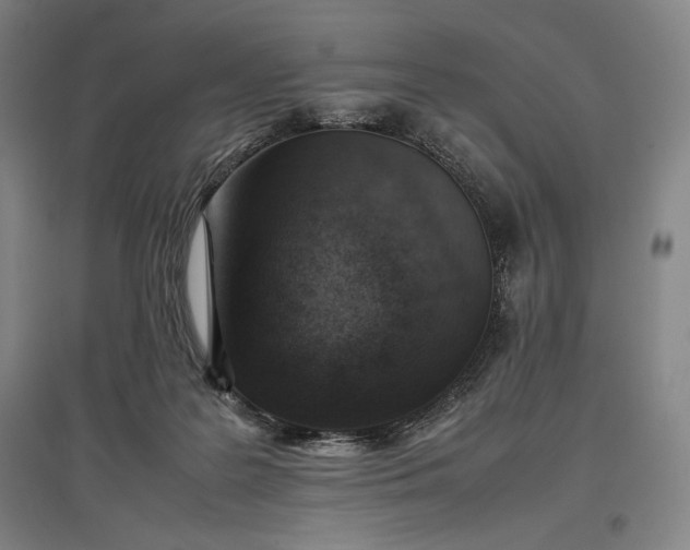 X0000096940219200802221327