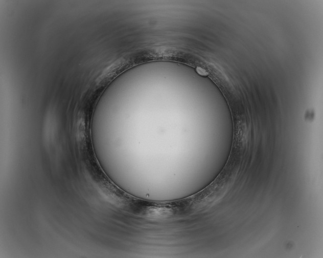 X0000096940220200802221327