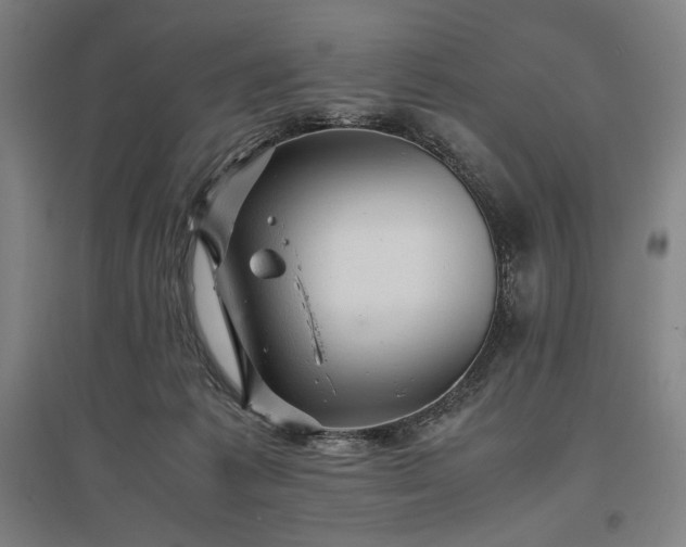 X0000096940221200802221327