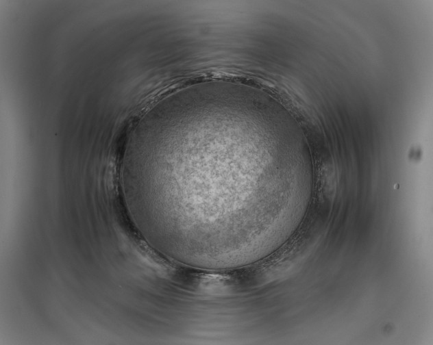 X0000096940222200802221327