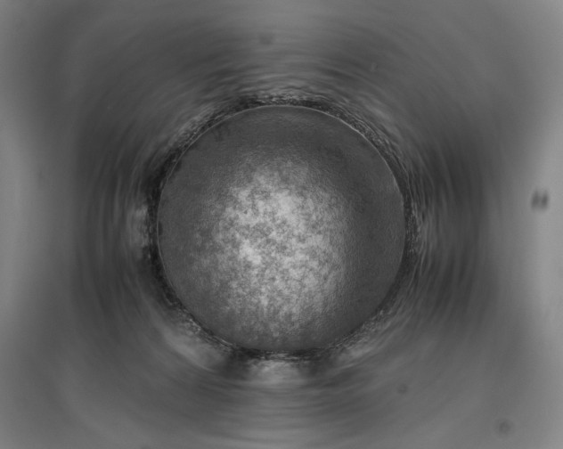 X0000096940224200802221327