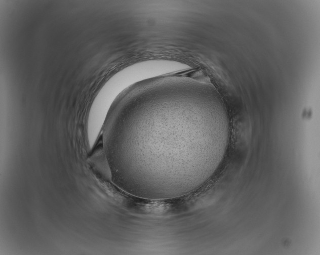 X0000096940225200802221327