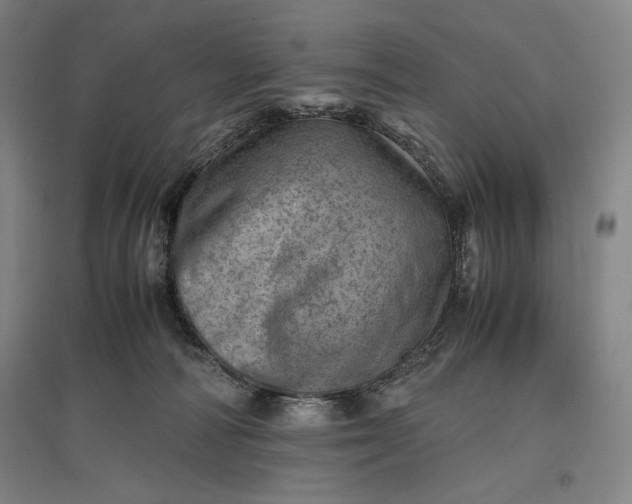 X0000096940226200802221327