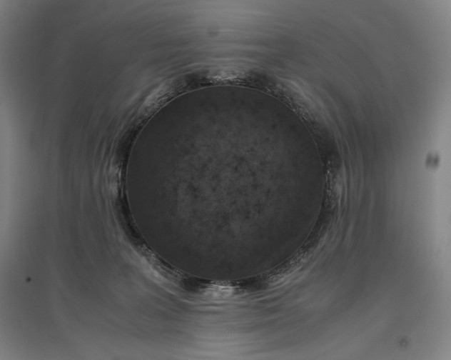 X0000096940227200802221327