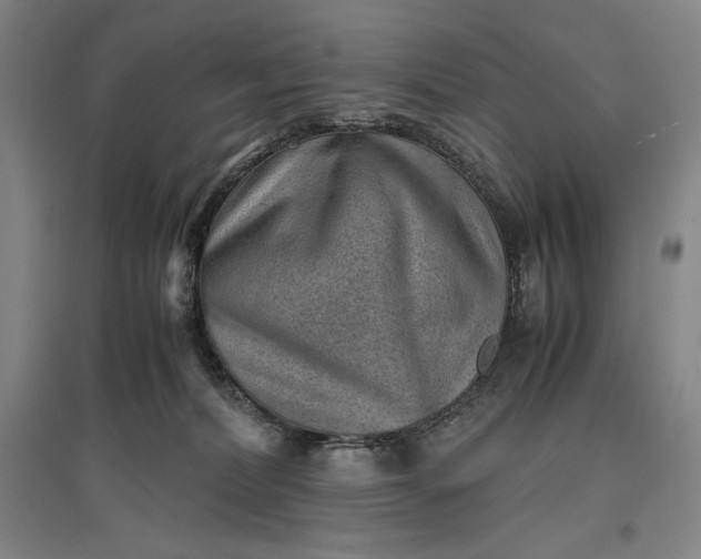 X0000096940228200802221327