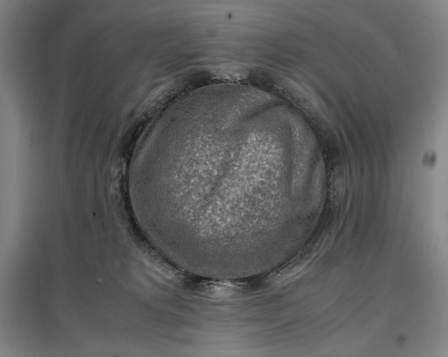 X0000096940229200802221327