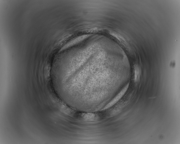 X0000096940230200802221327