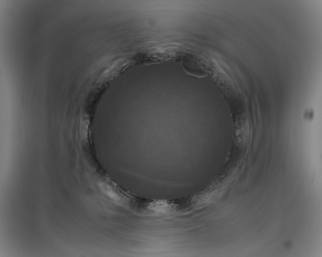 X0000096940231200802221327