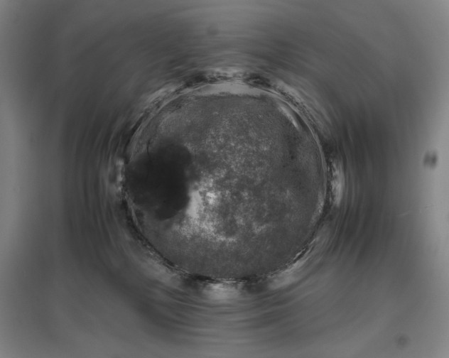 X0000096940232200802221327