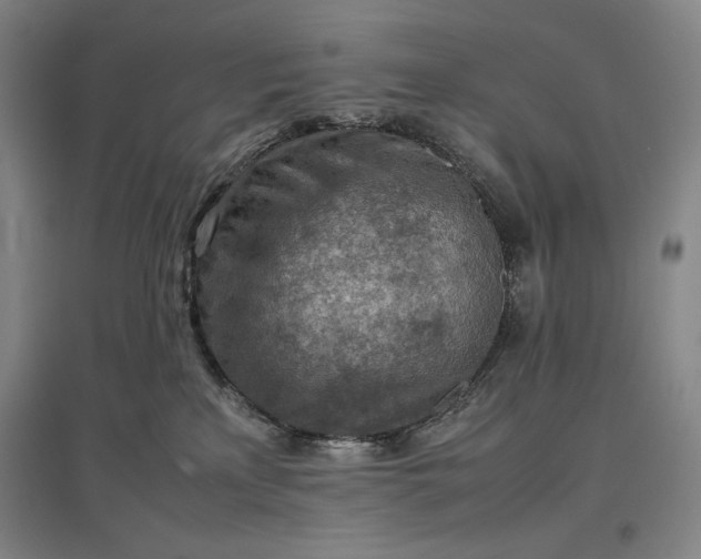 X0000096940233200802221327