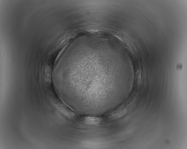 X0000096940234200802221327