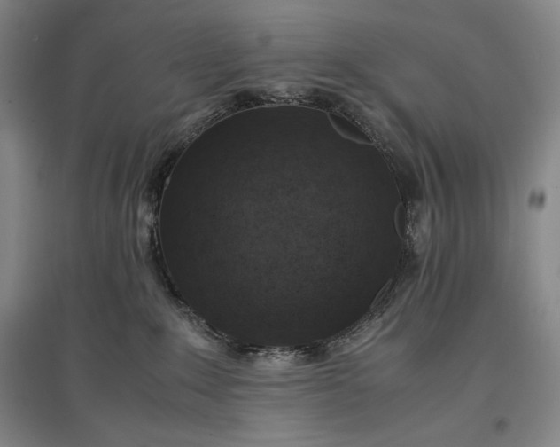 X0000096940235200802221327