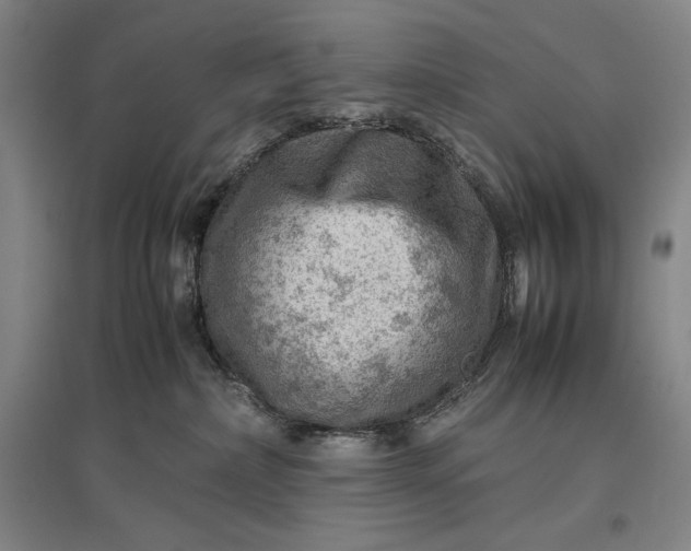 X0000096940236200802221327