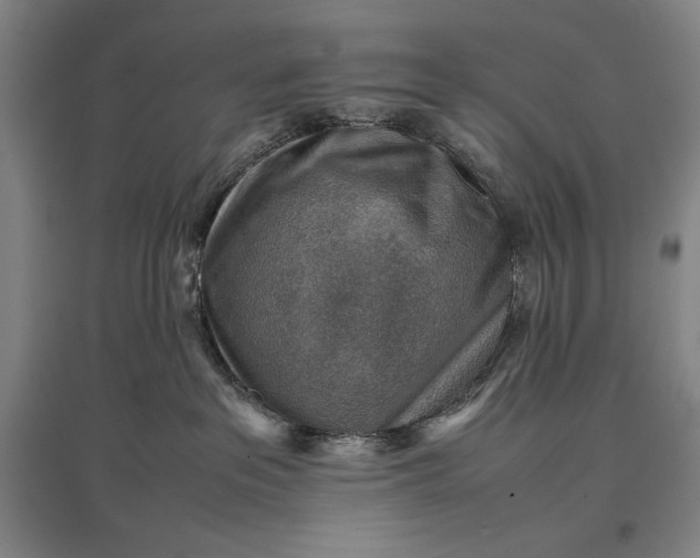 X0000096940237200802221327