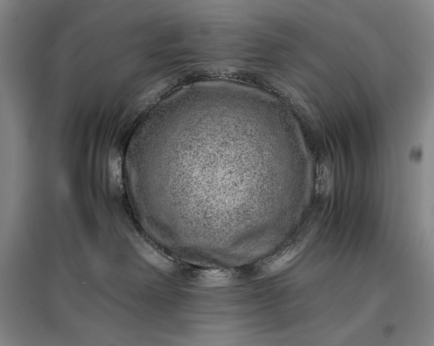 X0000096940238200802221327