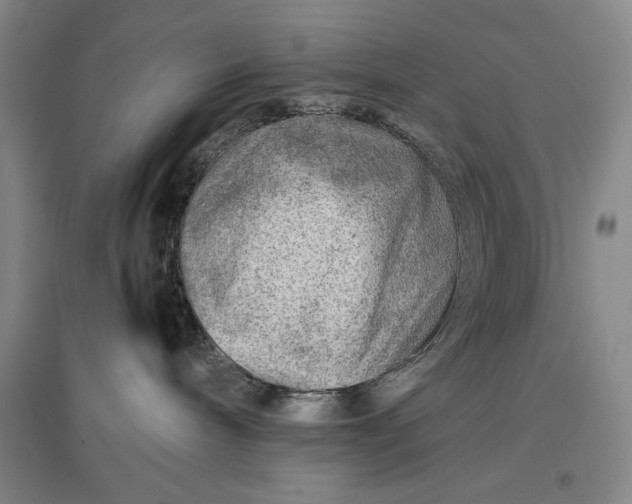 X0000096940240200802221327