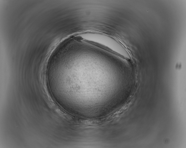 X0000096940241200802221326