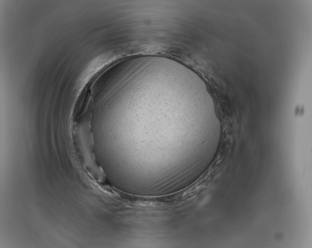 X0000096940242200802221326