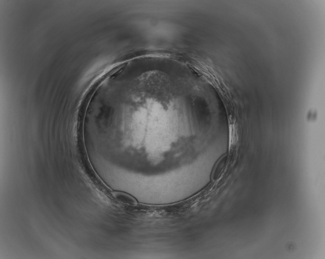 X0000096940243200802221326